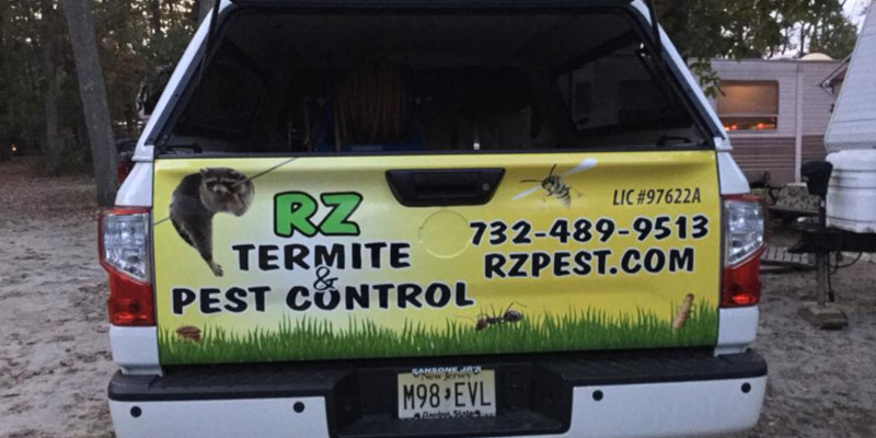 Pest Prevention in Ocean Township, New Jersey