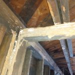 Termite Inspection in Eatontown, New Jersey