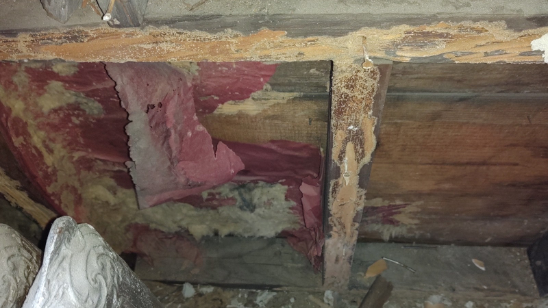 Termite Damage in Ocean Township, New Jersey