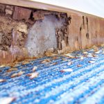 Termite Removal in Eatontown, New Jersey