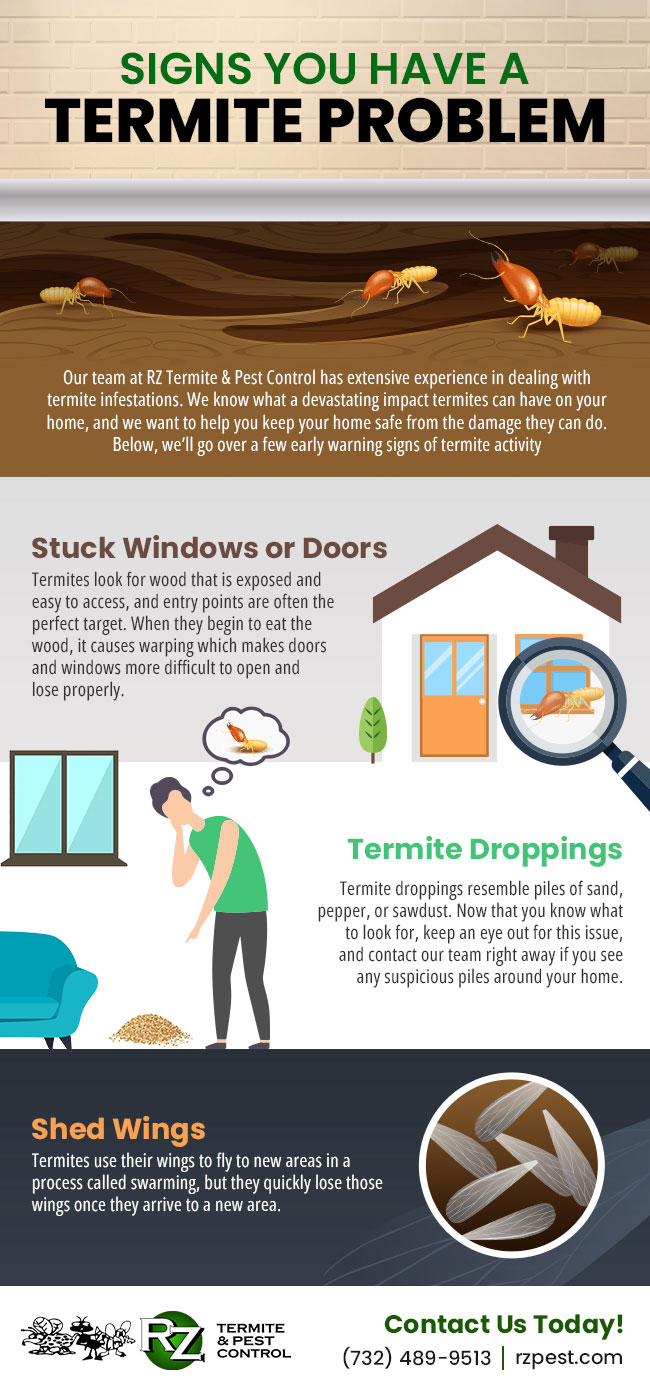 Signs You Have a Termite Problem